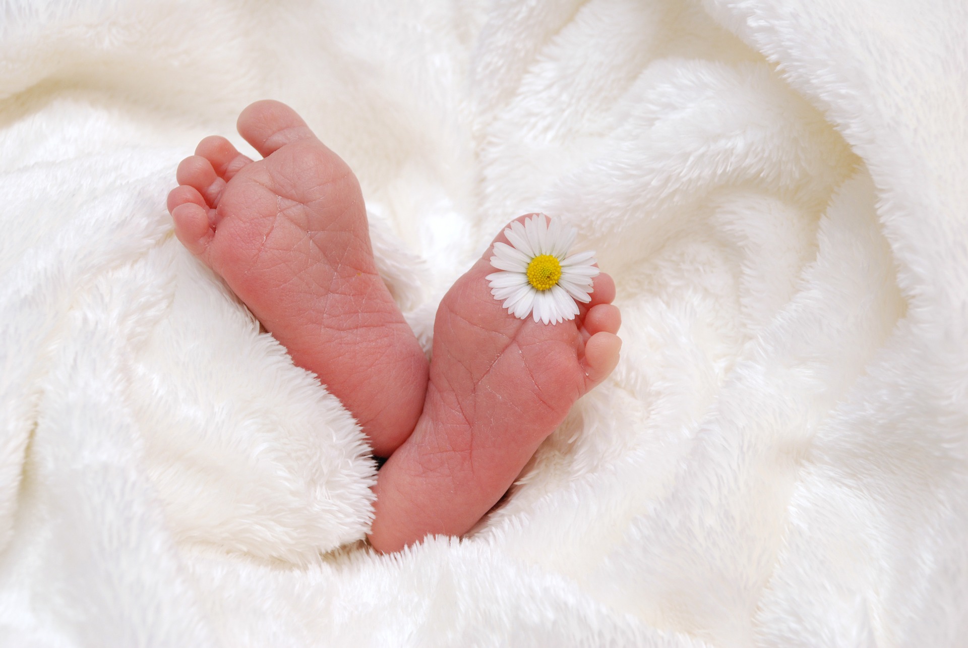 Saving stems cells from the baby's umbilical cord Daisy First Aid