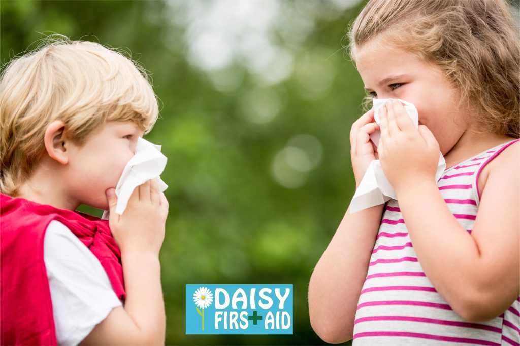Should I worry if my child has a cold? Daisy First Aid