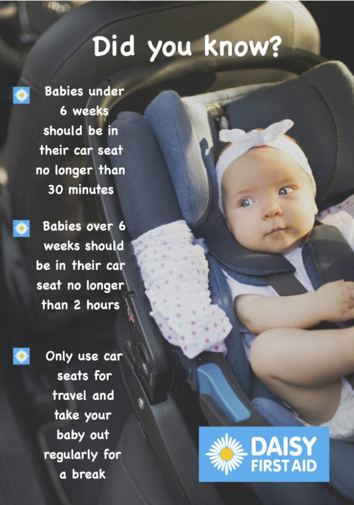 Spotlight On Cat Safety Daisy First Aid - Car Seat Safety For Infants