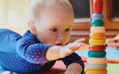 Understanding developmental schemas